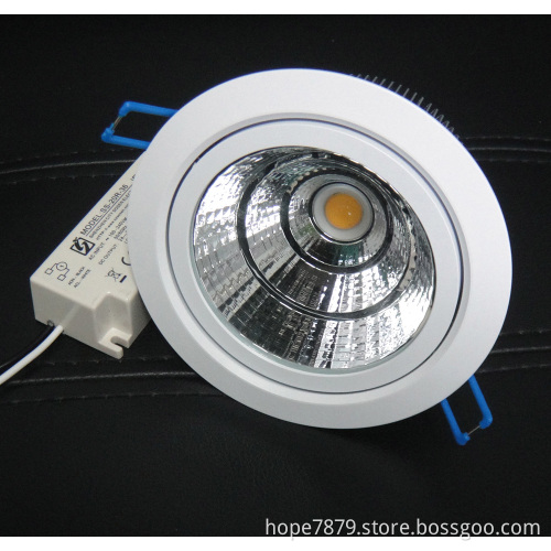 35W COB LED Downlight